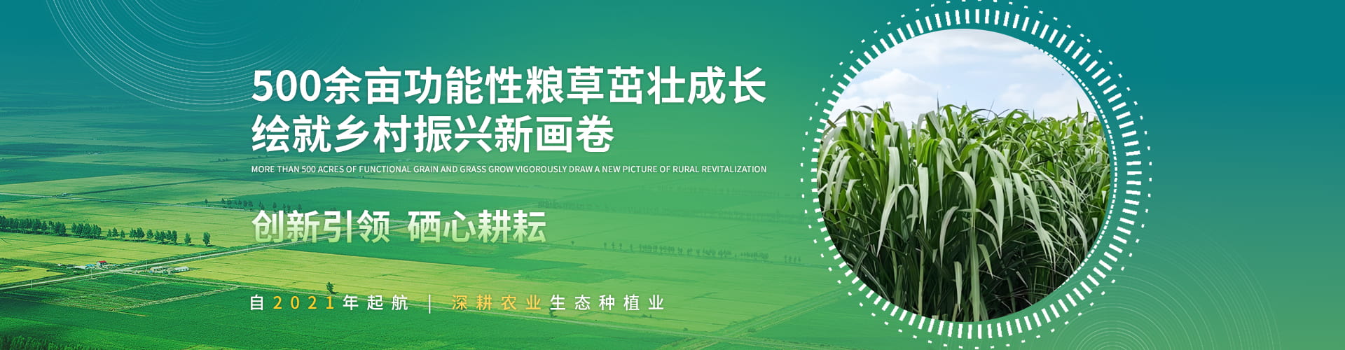  重庆荞硒农业科技有限公司 